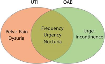 Urinary Tract Infection in Overactive Bladder: An Update on Pathophysiological Mechanisms